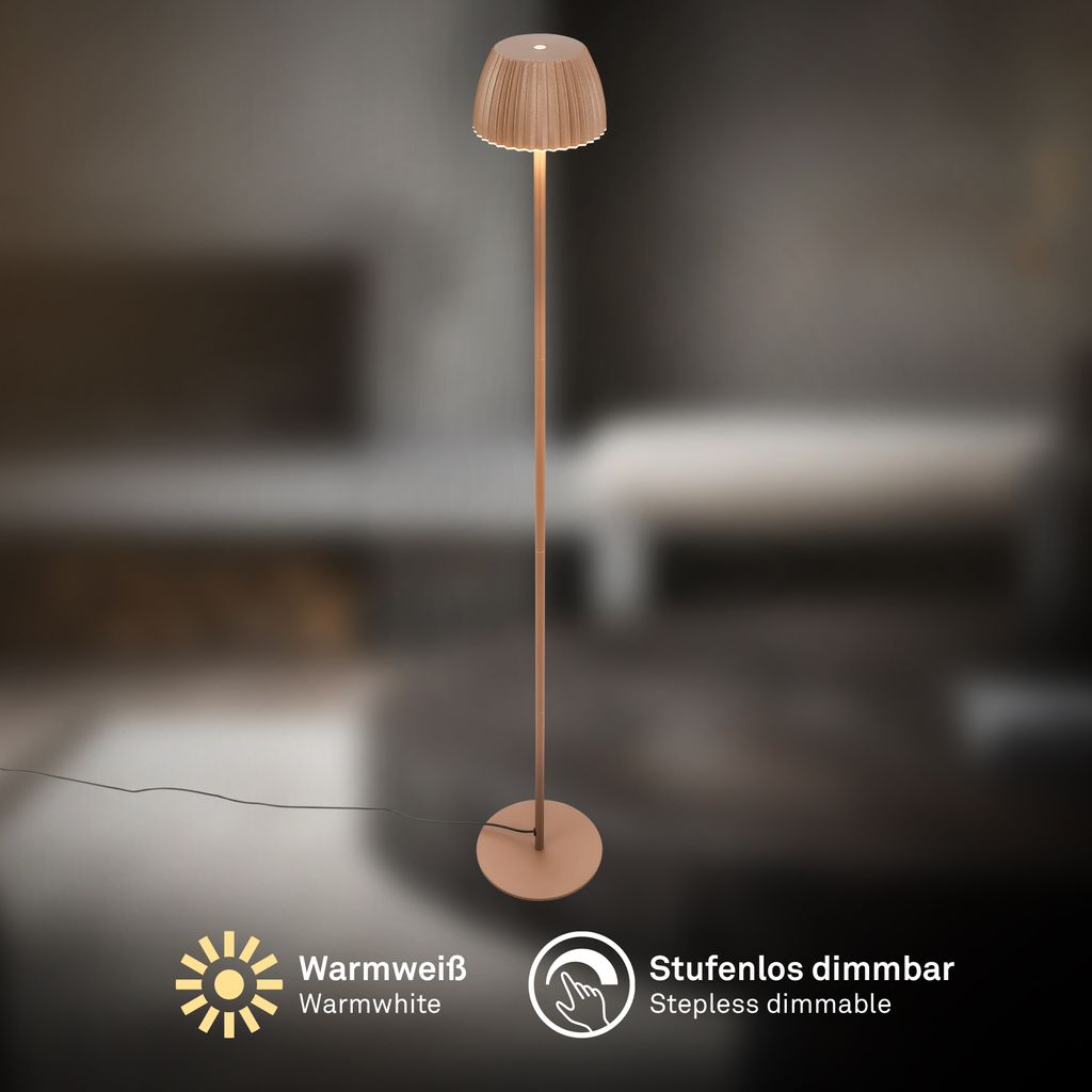 LED Floor Lamp Free Standing Warm Light Reading USB-C 8W Dimmer 1240mm Coffee