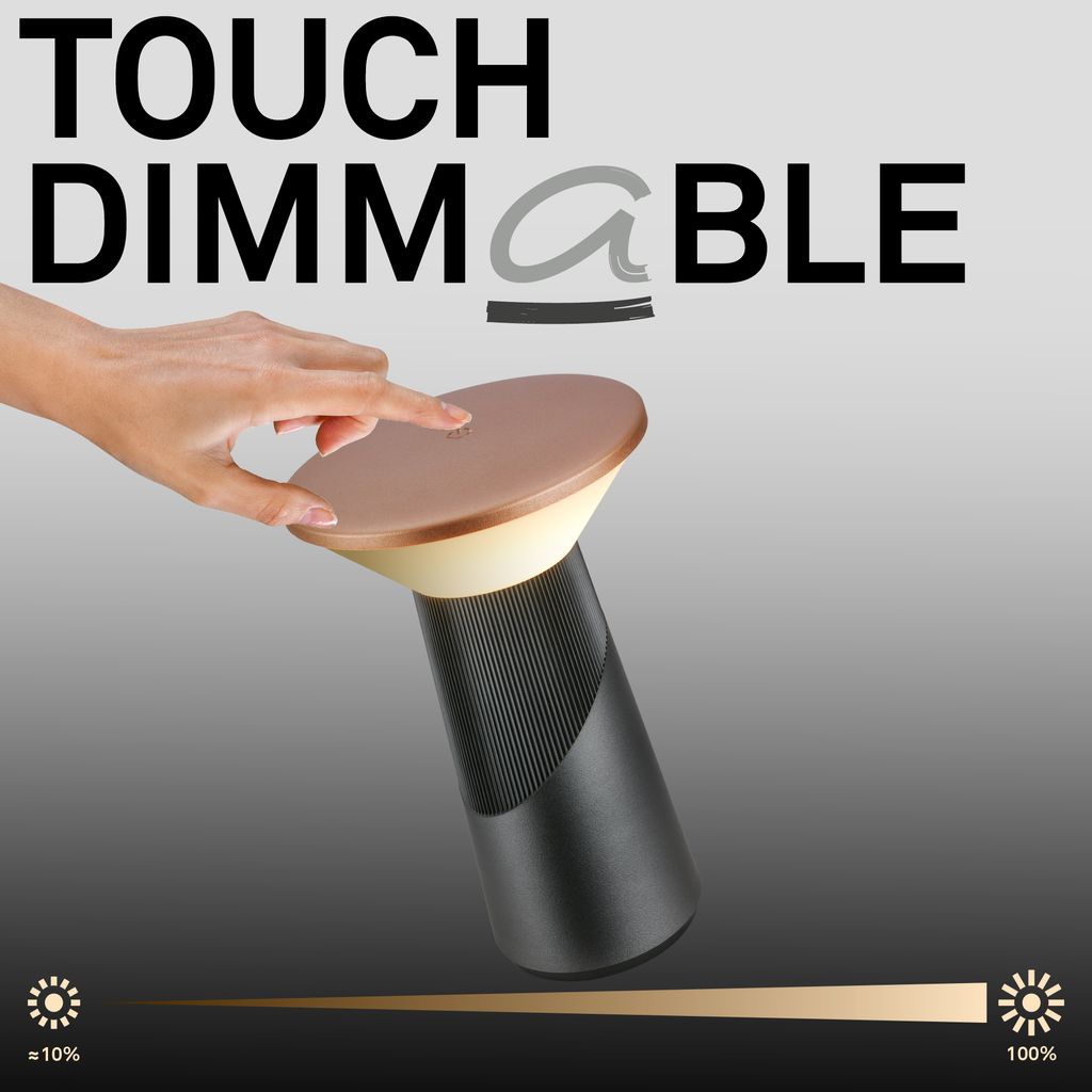 Pilia Table Lamp - 2.6W, 200lm, LED, Cordless, Dimmable, Touch, Anthracite Bronze