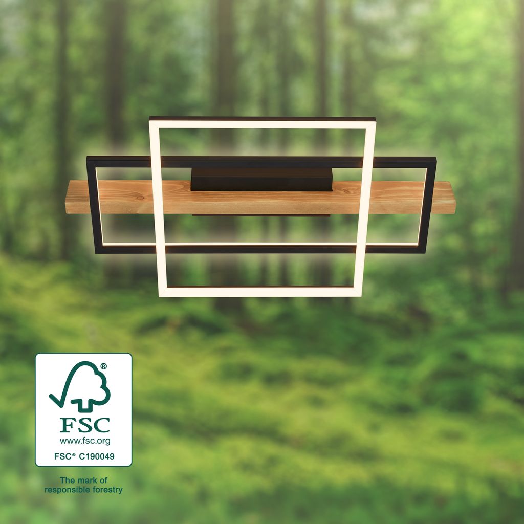 Cadre LED Deckenlampe, Backlight, 3-Stufen Schaltung, 2 Frames, Holzdekor, 55x30 cm, Schwarz-Holz