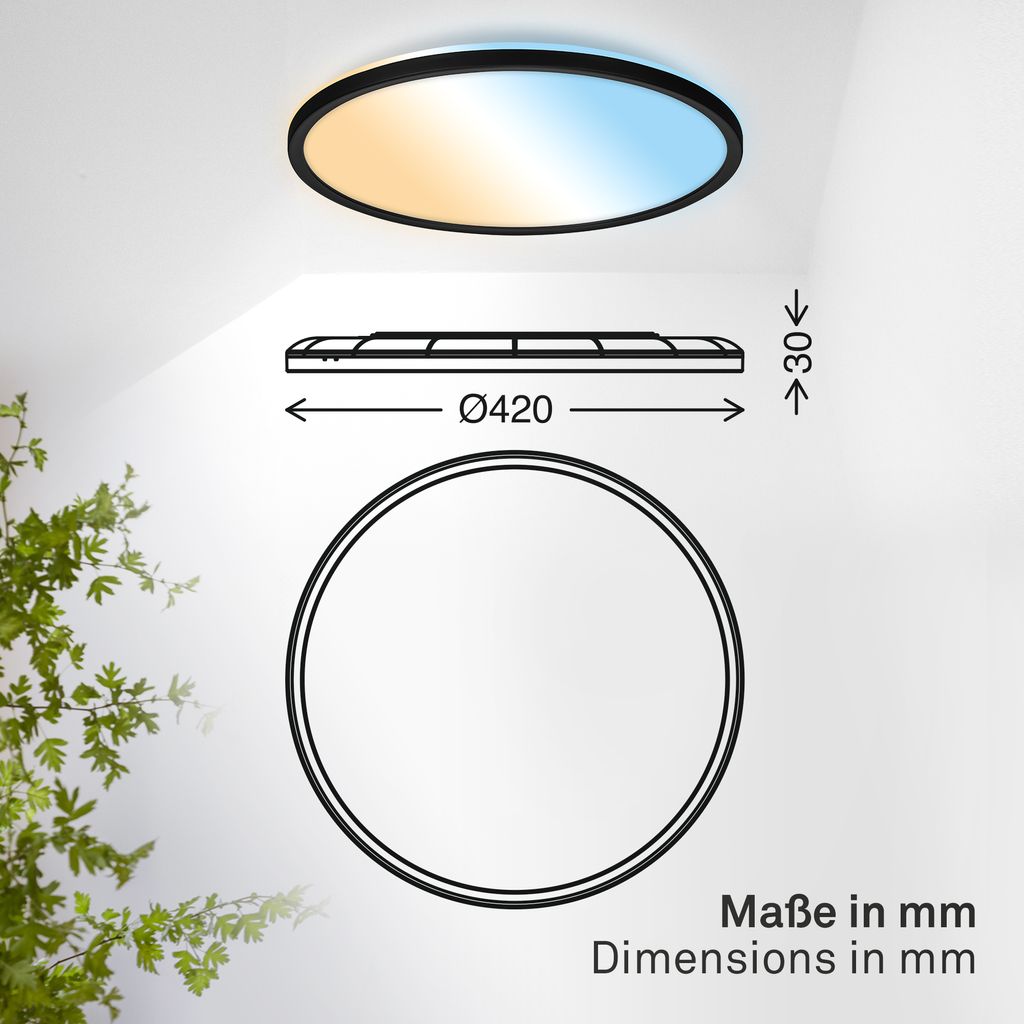 LED Panel Ø42 cm - 22W, 3000lm, Dimmbar, CCT, Fernbedienung, IP44, Schwarz