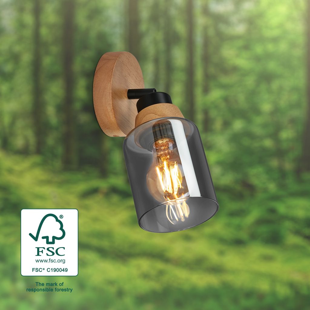 Wall Light E27, Adjustable Smoked Glass & Wood, Metal, Matt Black