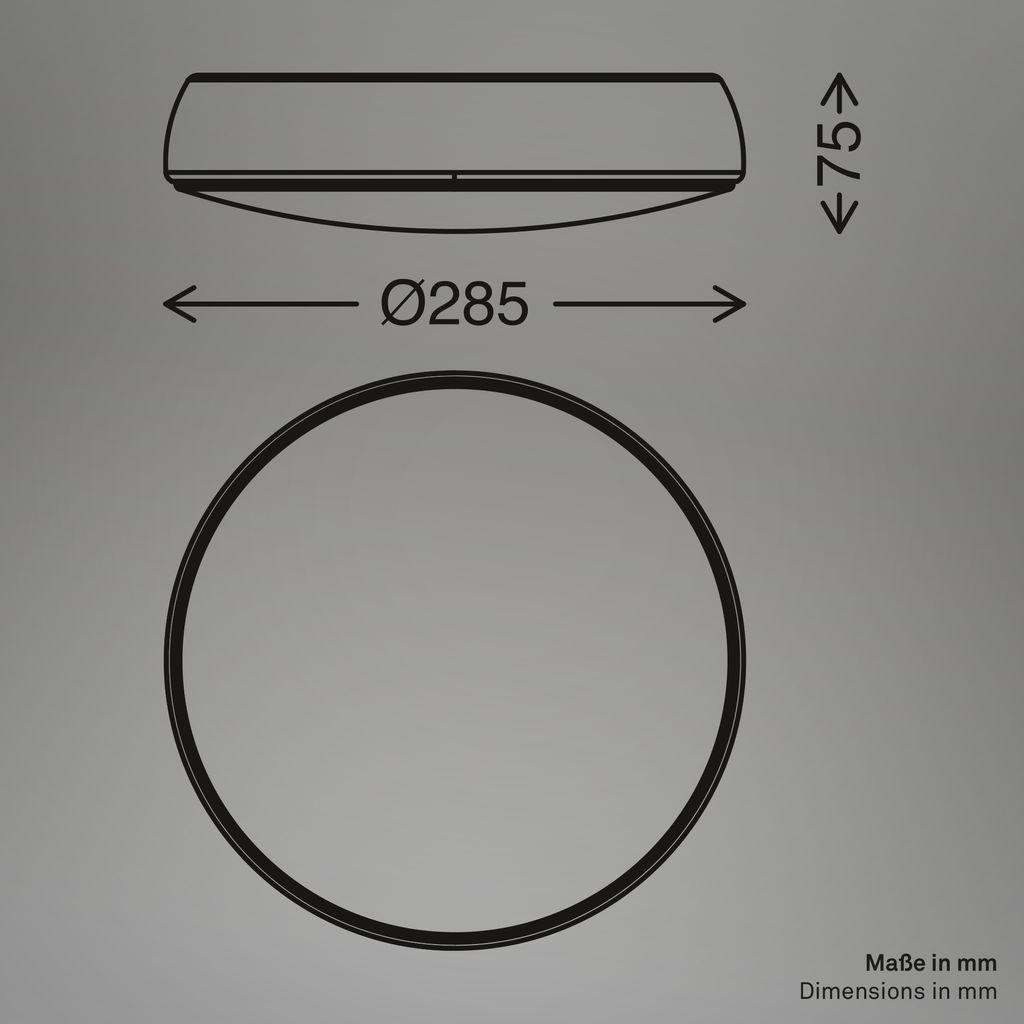 Nikan Deckenleuchte Ø28,5 cm - 12W, 1200lm, LED, 3000K Warmweiß, Anthrazit