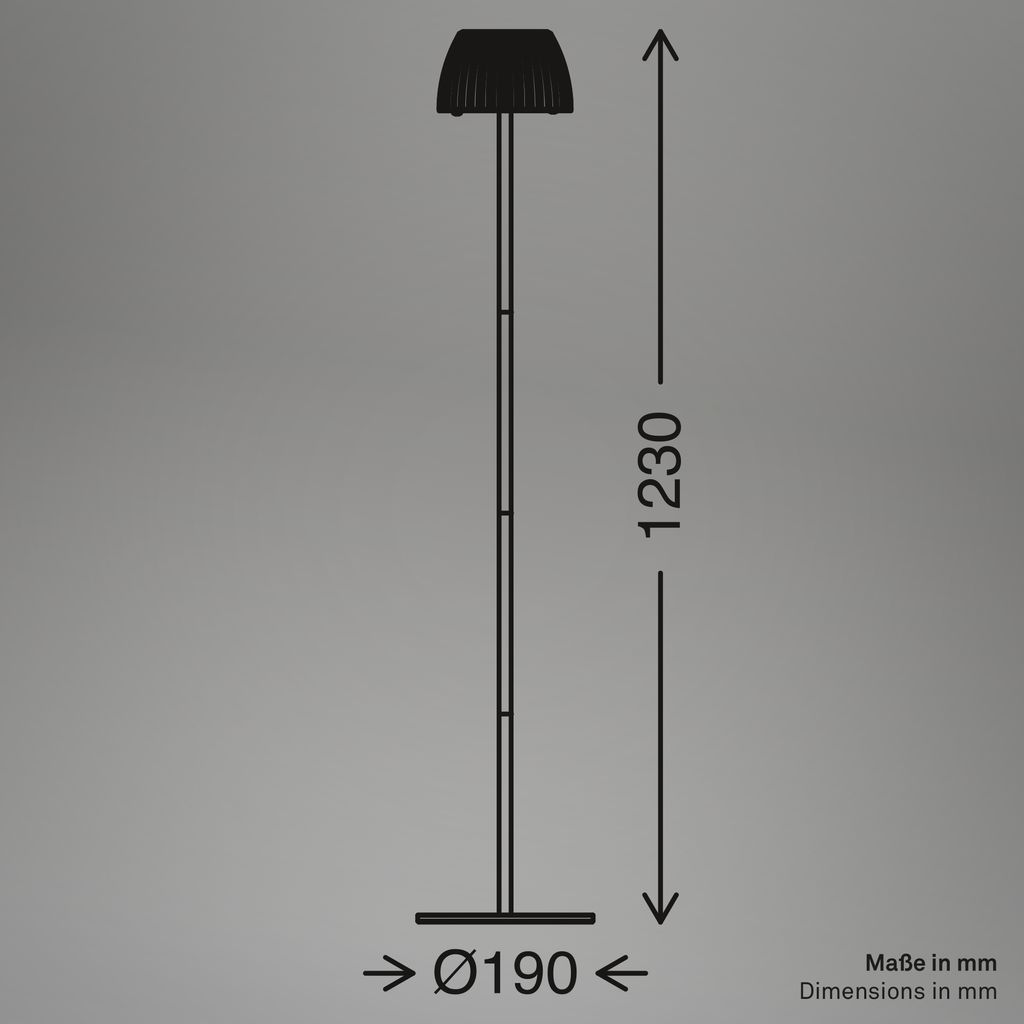 LED Floor Lamp Free Standing Warm Light Reading USB-C 8W Dimmer 1240mm Coffee